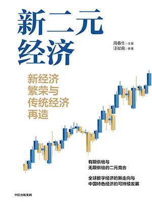 《新二元經濟:新經濟繁榮與傳統經濟再造》封麵