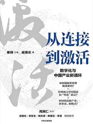 《從連接到激活:數字化與中國產業新循環》封麵