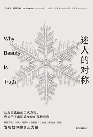 《迷人的對稱》封麵