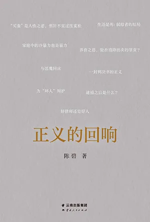 《正義的回響》封麵