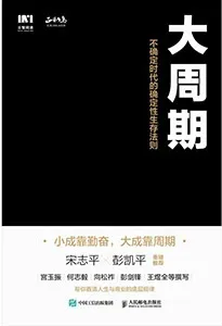 《大周期：不確定時代的確定性生存法則》封麵