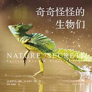 《奇奇怪怪的生物們》封麵
