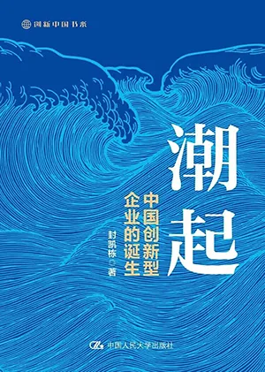 《潮起:中國創新型企業的誕生》封麵
