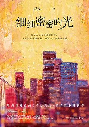 《細細密密的光》封麵