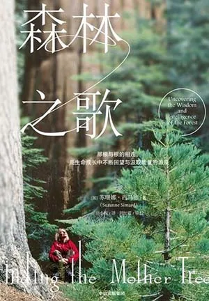 《森林之歌》封麵