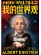 我的世界觀