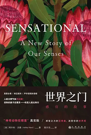 《世界之門：感官的故事》封麵