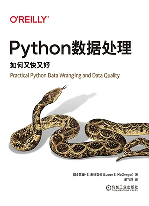 《Python數據處理：如何又快又好》封麵
