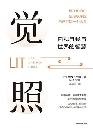 《覺照:內觀自我與世界的智慧》封麵