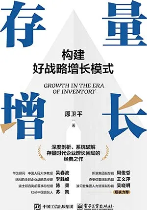 《存量增長：構建好戰略增長模式》封麵