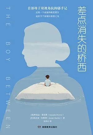 《差點消失的橋西》封麵