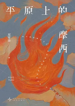 《平原上的摩西》封麵