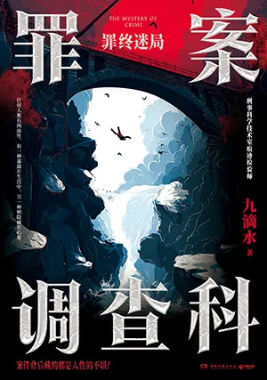 《罪案調查科:罪終迷局》封麵