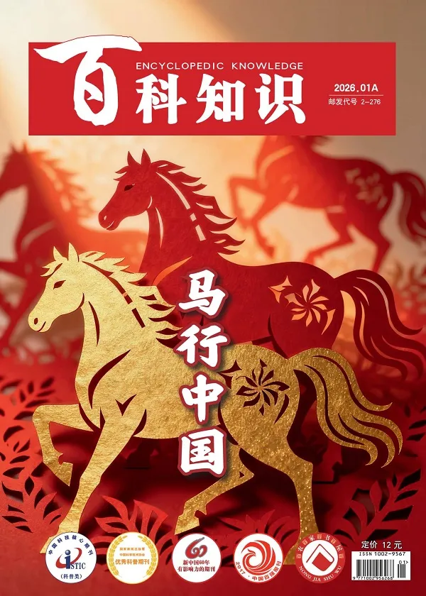 百科知識（2026年第1期）封麵