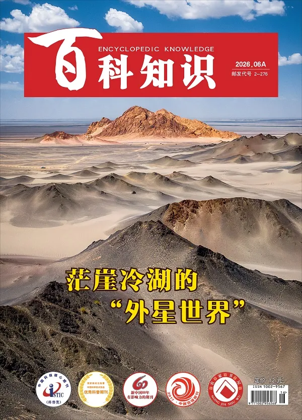百科知識（2026年第11期）封麵