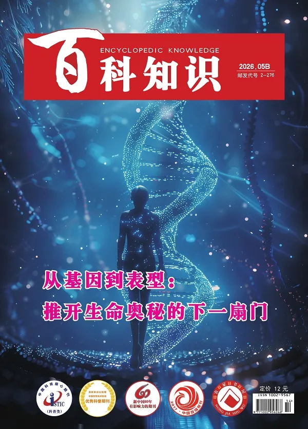 《百科知識(2026年第10期)》封麵