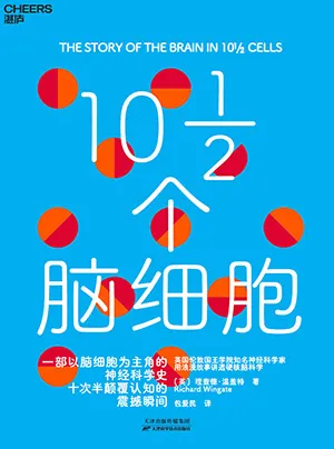 10½個腦細胞封麵