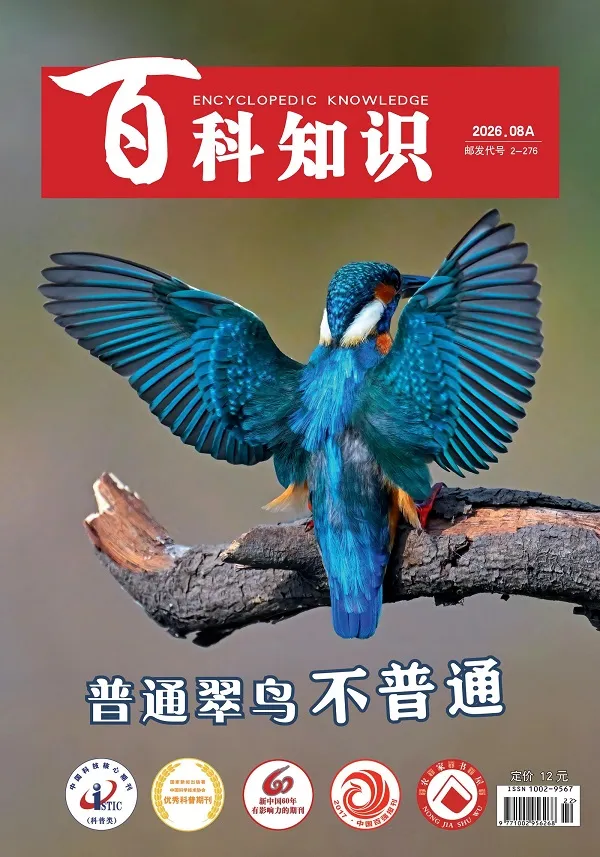 《百科知識(2026年第15期)》封麵