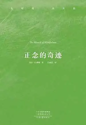 正念的奇跡封麵