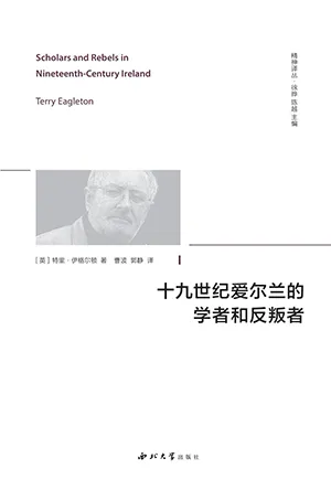 十九世紀愛爾蘭的學者和反叛者封麵